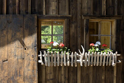 32 Lerch-Hinterweiding-Gut, 05-2017 © Foto Oczlon