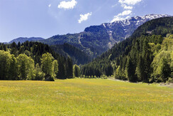 37 Lerch-Hinterweiding-Gut, 05-2017 © Foto Oczlon