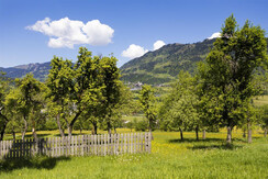 38 Lerch-Hinterweiding-Gut, 05-2017 © Foto Oczlon