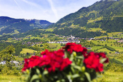 39 Lerch-Hinterweiding-Gut, 05-2017 © Foto Oczlon