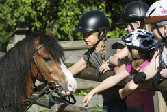 Foto Oczlon 23 Lerch-Plankenau, Kinder mit Pferd, 