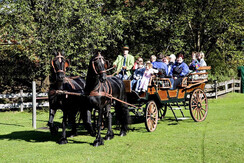 Foto Oczlon 28 Hotel Lerch - Lerch Heinz mit Kutsc