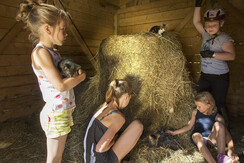 Foto Oczlon 31 Hotel Lerch, Kinder mit Heuballen, 