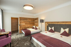 Braeu-Room 2-4 persons, balcony, extra sofa-bed