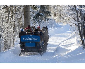 Pferdeschlitten | © Martin Huber