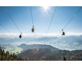 Three people ziplining over forested mountains at Stoderzinken with stunning views of the sunny Enns Valley | © Christoph Huber