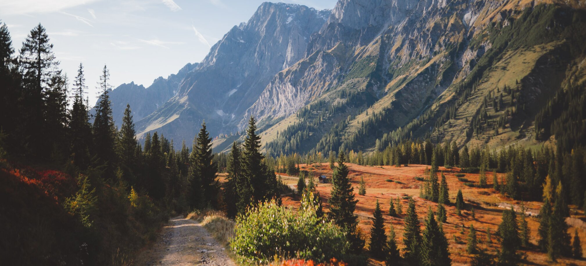 Herbstliche Landschaft verfärbten Bäumen und der Mandelwand im Bild. | © Hochkönig Tourismus GmbH