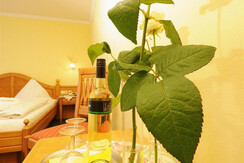 aparthotel kristall-232274