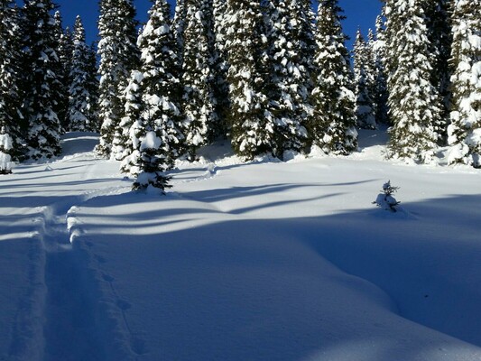 Ski touring at Rossbrand moutain | © Monika Najand-Ellmer