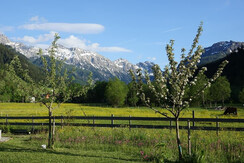 Ausblick Appartements Höller