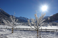 Ausblick Appartements Höller