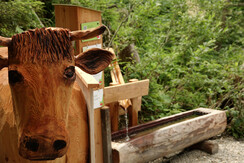 auf den Spuren von Milch und Käse in Kleinarl