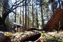 Kraft der Bäume Lehrpfad in Kleinarl