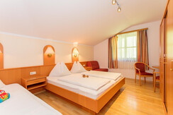 bauernhof-grossarltal-unterkunft-ferienwohnung-3