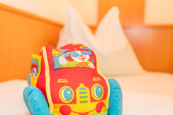 bauernhof-grossarltal-unterkunft-ferienwohnung-6