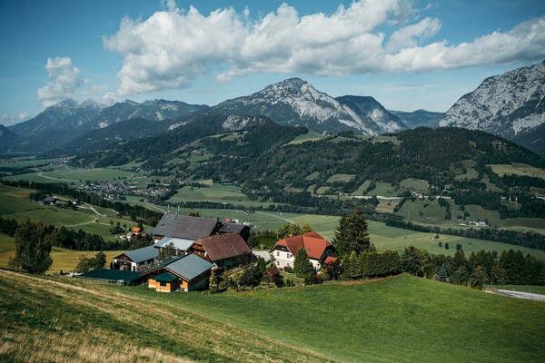 Sommer Vogelperspektive