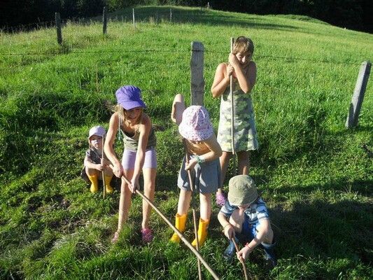 Kinder beim Kühe treiben.