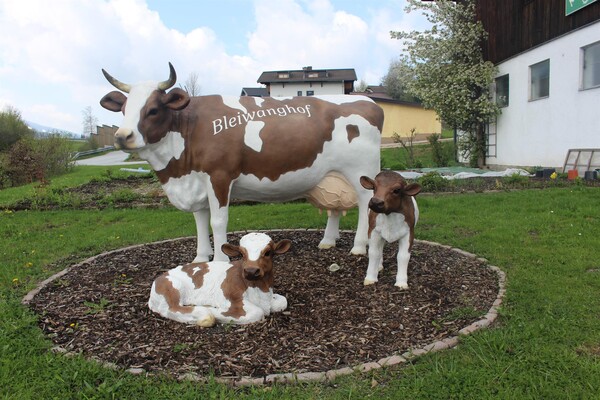 Unsere kleine Herde vor dem Haus | © Loisi Scharfetter