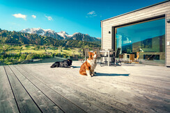 Loft - Hundespaß auf der großzügigen Dachterrasse