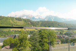 Typ ONE Blick auf den Dachstein