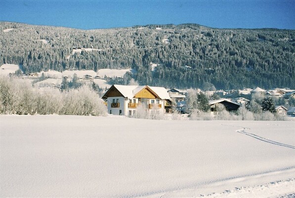 Wiesenansicht Winter