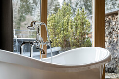 web_goldberg_0123-4197