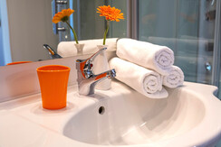 Bathroom / Apartments Davydov / Bad Hofgastein