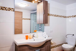 Bathroom / Apartments Davydov / Bad Hofgastein