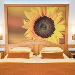 Photo of Tweepersoonskamer, douche of bad, WC, boskant