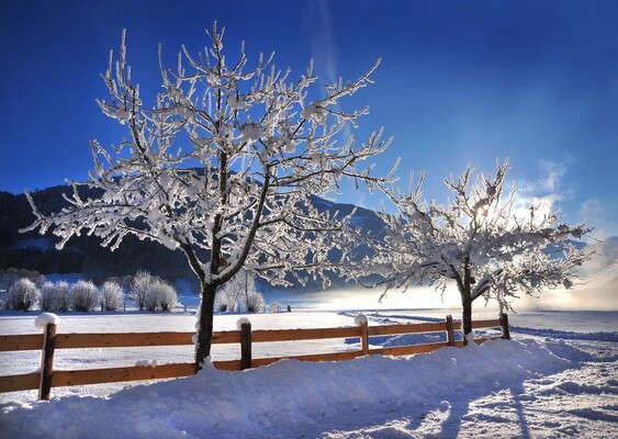 Wintertraum, Urlaub  in Radstadt | © Copyright Reinberger Ernst
