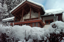 IMG03243-20111208-1038