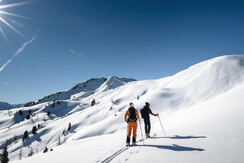 11375BCA-F480-47BD-BEE6-BD957043C3CD