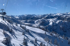 C712631D-BE11-47C6-A67B-6BB676936916