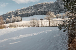 Aussicht Apartment Doris
