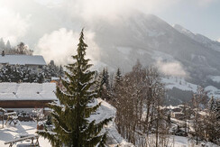 Aussicht Apartment Elke
