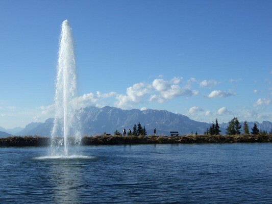 6996552633_f0e19f4c17_o