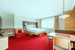 Flachau_Appartement (5)