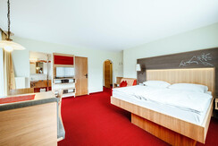 Flachau_Appartement (6)