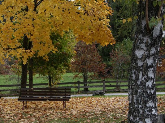 Herbst am Kirchboden | © ©Heidi Höller