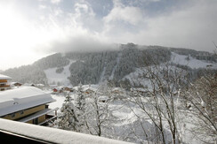 Ausblick Grafenberg vom Apartment