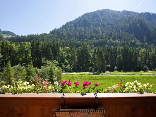 Aussicht Balkon Wohnküche im Sommer