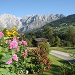 Photo of apartment/1 bedroom/shower, WC