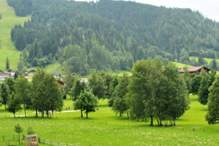 Richtung Golfplatz