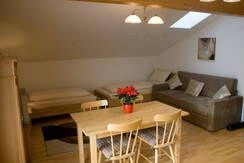 Wohn-Schlafraum - Appartement B