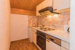 ferienwohnung-bauernhof-flachau-1972