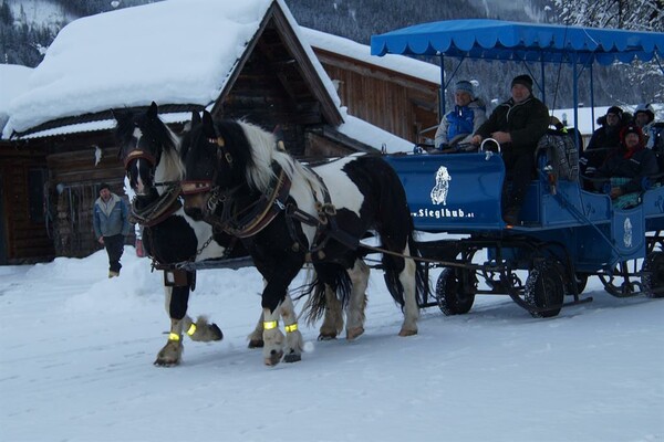 Pferdekutschenfahrten