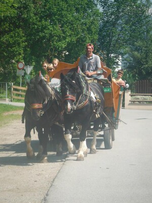 Kutschenfahrt