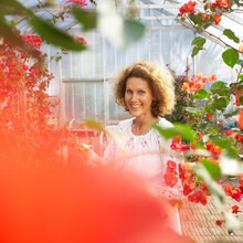 Glasshouse for the flowers and herbs