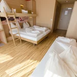 Bild von Vierbettzimmer, Dusche, WC