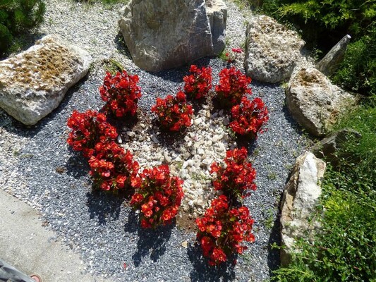 Gasthof-Klammstein-Blumenherz